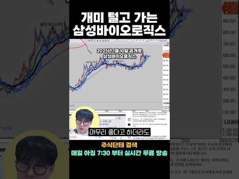 <strong>삼바</strong> 개미 털기 나오면 기회가 온다