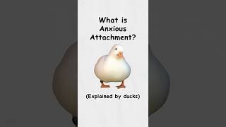 What is anxious attachment? (explained by ducks)