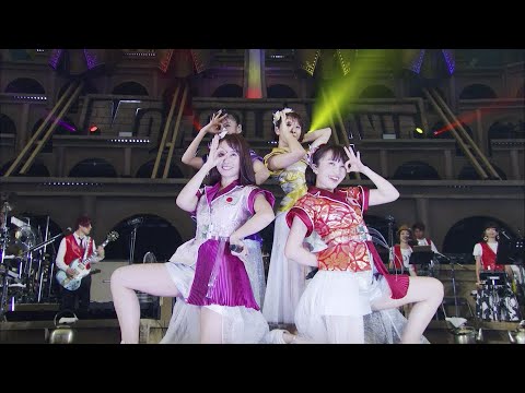 ももクロ【LIVE】行くぜっ！怪盗少女 -ZZ ver.-（from MomocloMania2019 -ROAD TO 2020- 史上最大のプレ開会式 Day2）