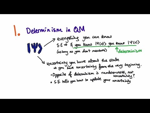 Schrodinger equation comment