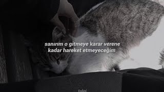 Cavetown - Juno Türkçe Çeviri