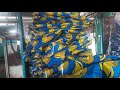 Manufacturing Unit of African print fabric, Pihoo Textile