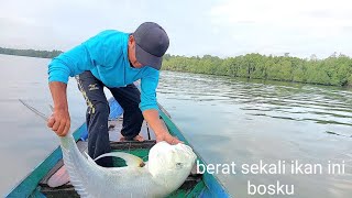 DETIK DETIK YANG MENEGANGKAN..!!! TUBUHKU GEMETAR SAAT MENAKLUKKAN MONSTER GT DISPOT DANGKAL INI