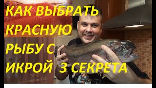 КАК ОПРЕДЕЛИТЬ И КУПИТЬ ФОРЕЛЬ ИЛИ ДРУГУЮ КРАСНУЮ РЫБУ С ИКРОЙ .ТРИ ГЛАВНЫХ СЕКРЕТНЫХ СОВЕТА.