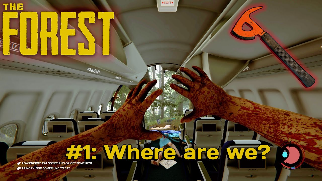 The Forest Gameplay | Episode 1: Where are we? |