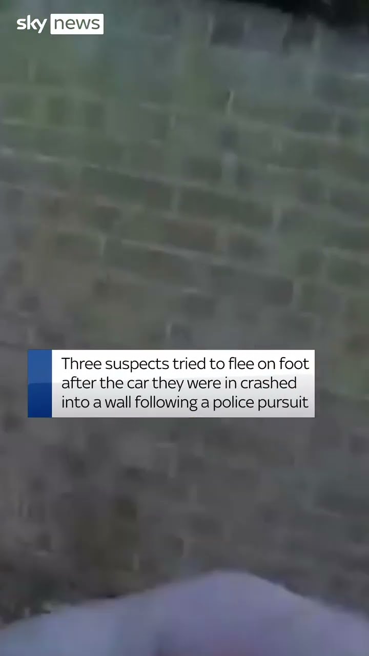 Moment dog walker helps police catch suspect