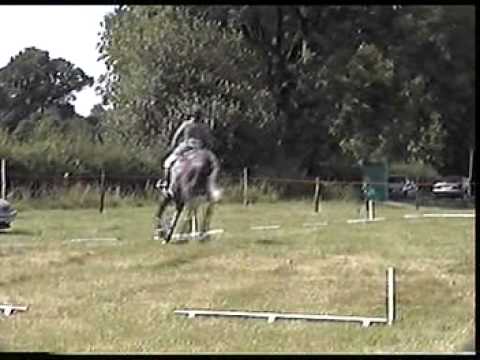 Primitive LAw - BYEH Dressage test