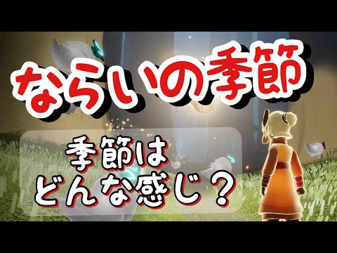 新たな季節情報きたよ～！難しいクエストが来る予感....！【sky星を紡ぐ子どもたち】