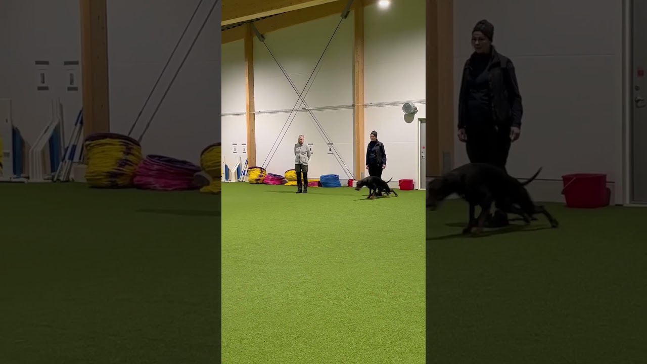 Dobfancier’s Ezz tränar budföring i inomhushallen 2022