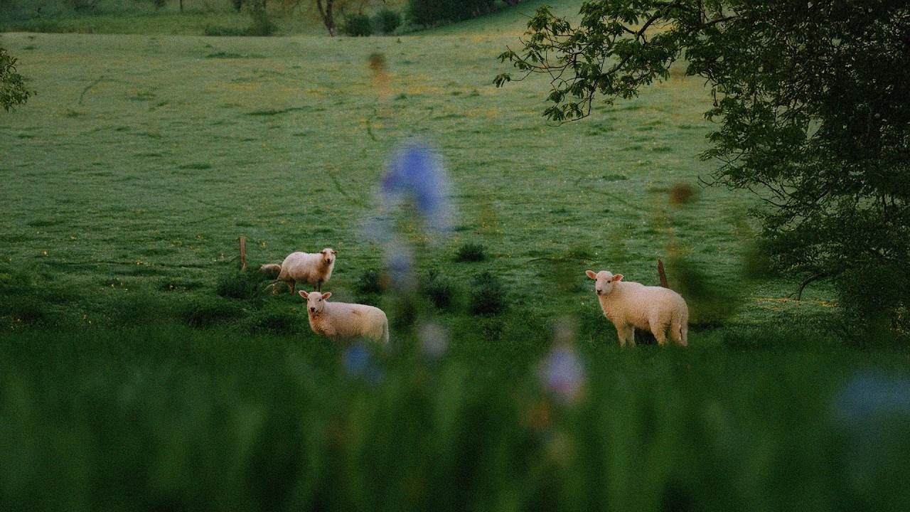 a quiet piano playlist for reading at home