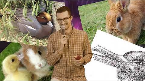 What is Visual Rhetoric?