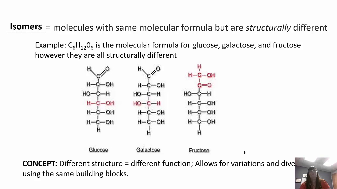 Organic Molecules of the Cell Chapter 3 BI 114 - YouTube