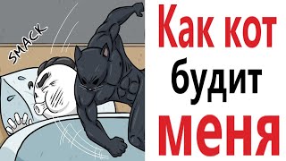 Приколы! КАК КОТ БУДИТ МЕНЯ – МЕМЫ - АНИМАЦИЯ!!! Смешные видео от Доми шоу!