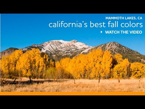 Video: Otoño en el lago Tahoe: guía meteorológica y de eventos