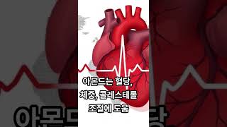 아몬드 한줌, 3개월 후 혈당·체중 개선! 아몬드의 건강 효과