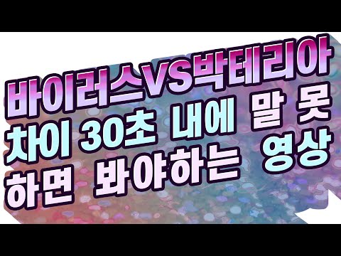 [술술과학] 건강과학(2) : 바이러스vs박테리아