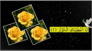 اجمل تلاوه حزينه 😿💔القران الكريم بطور العراقي القارئ عامر الكاظمي حالات واتساب دينيه ستوري انستا😿💔