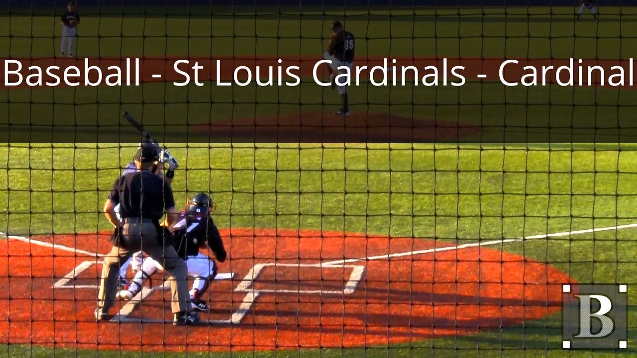 Baseball - St Louis Cardinals - Cardinal - YouTube