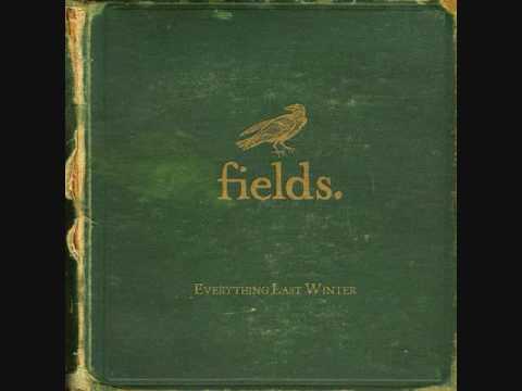 Feathers Video