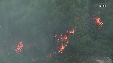 Nắng nóng gia tăng, cảnh báo cháy rừng ở Trung Bộ