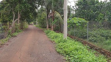 NVT768 Bán gần 2 sào vườn trái cây cực đẹp xã Xà Bang, huyện Châu Đức, tỉnh BRVT, có nhà cấp 4 đẹp