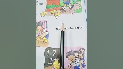 DAV model school, english reader book chapter - 8(chintu and the chicks) explain by Sonika das