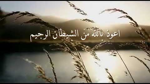 سورة المنافقون للقارئ عبدالله أحمد