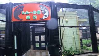 180615 75 夢見ヶ崎動物公園：資料3 亀 猿 ラマ シカ