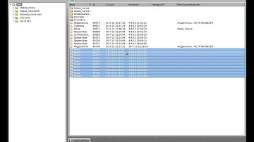 Lazarus development on Linux mint via QT platform