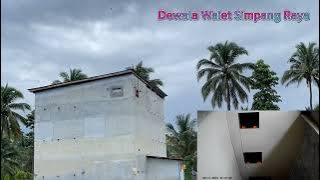 Respon Sp. Sadewa. RBW umur 5 bulan. ‼️‼️