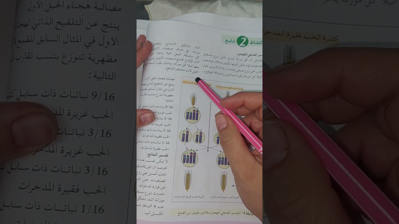 التهجين سنة أولى ثانوي علمي