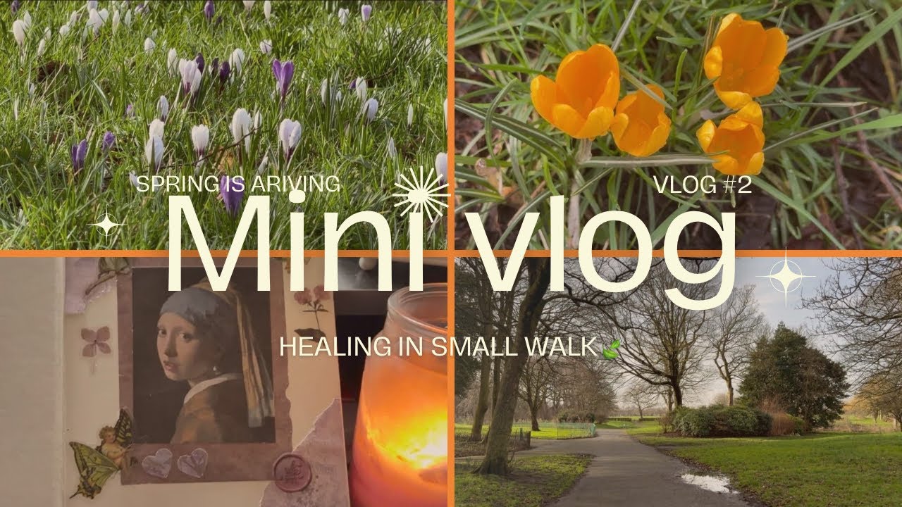 A Soft Day | Flowers, Birds & Journaling 