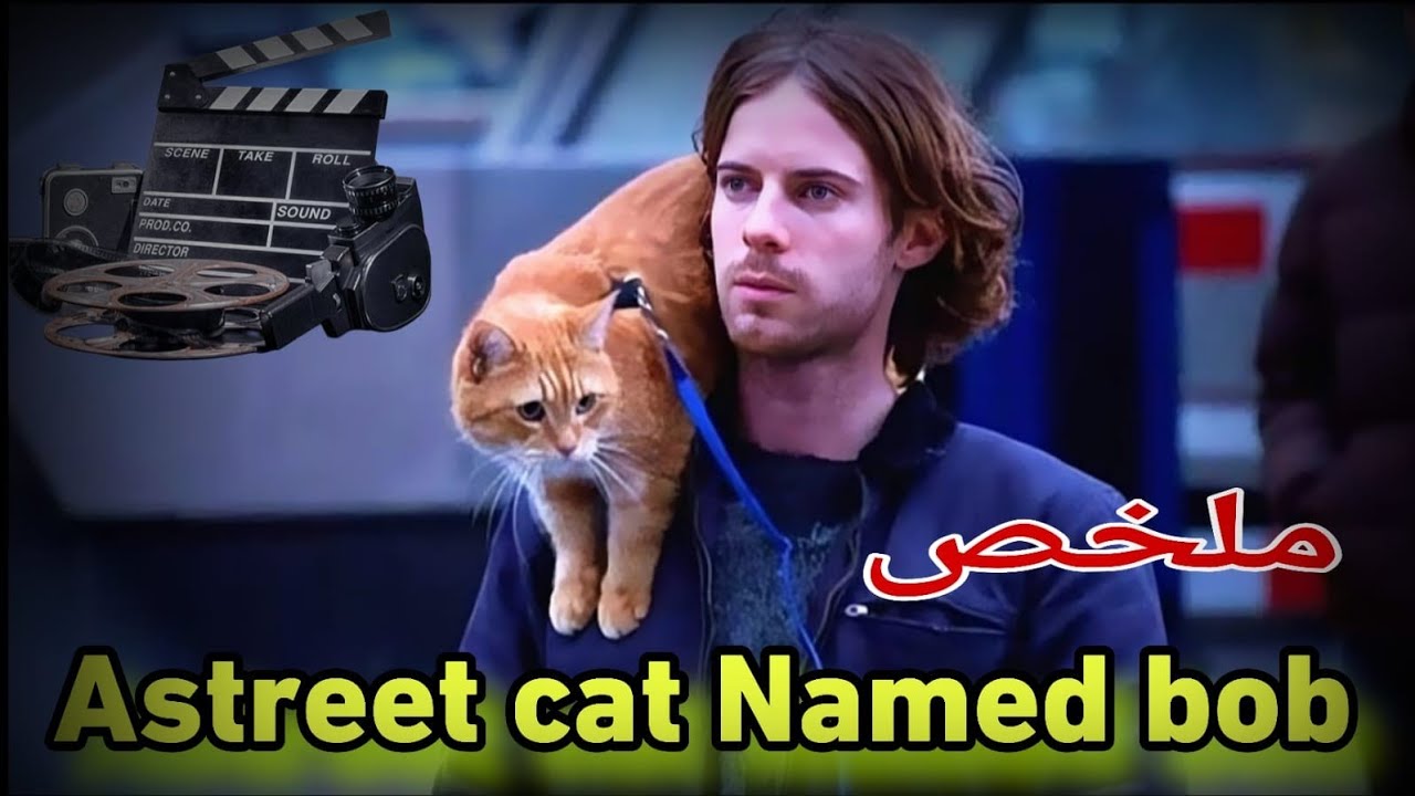 كان متشرّد وقط واحد بدّل حياتو كاملة! 😲 قصة حقيقية | ملخص فيلم A Street Cat Named Bob»