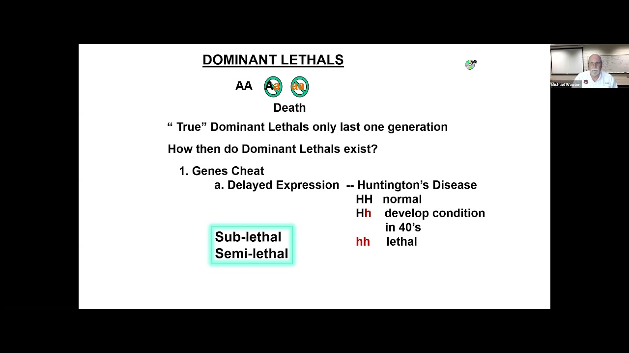 HG Genetics Review 2