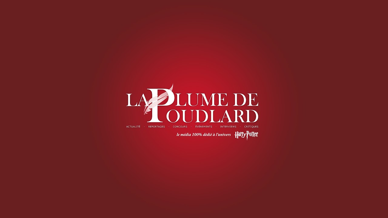 HARRY POTTER ET l'ordre du Phénix PC Occasion EUR 15,00