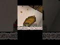 マイクラ感動物語~信じていれば必ず~