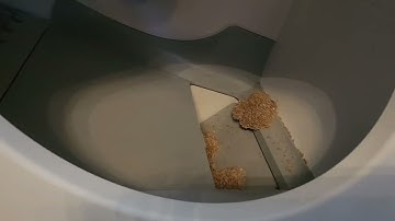 Meowant Self-Cleaning Litter Box cleaning demo