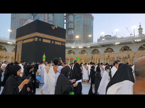 رحلتي من المدينة المنورة إلى مكة المكرمة لأداء مناسك العمرة خطوة بخطوة