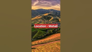 JOB VACANCY REACT JS DEVELOPER #softwaredevelopment #jobs #reactjsdeveloper #jobalerts #techjobs