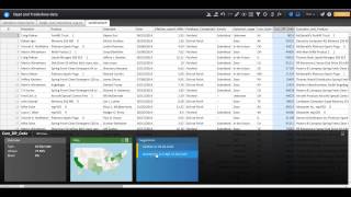 Informatica Springbok Demo
