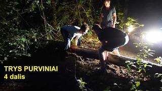 Trys purviniai - nuotykiai tęsiasi, pirmos dienos antra pusė