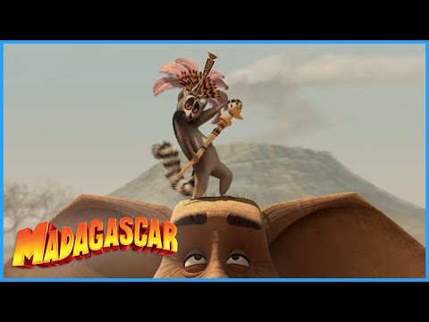 DreamWorks Madagascar | Bring The Water Back | Madagascar  Escape 2 Africa Movie Clip