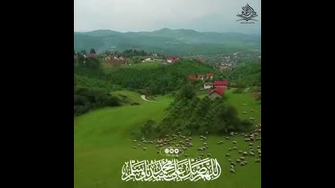 تلاوة للقارئ إبراهيم الحربي