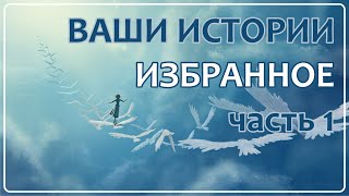 Ваши Истории - Избранное (часть 1)