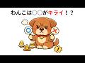 わんこは〇〇がキライ！？わんこの雑学５選【犬の雑学】