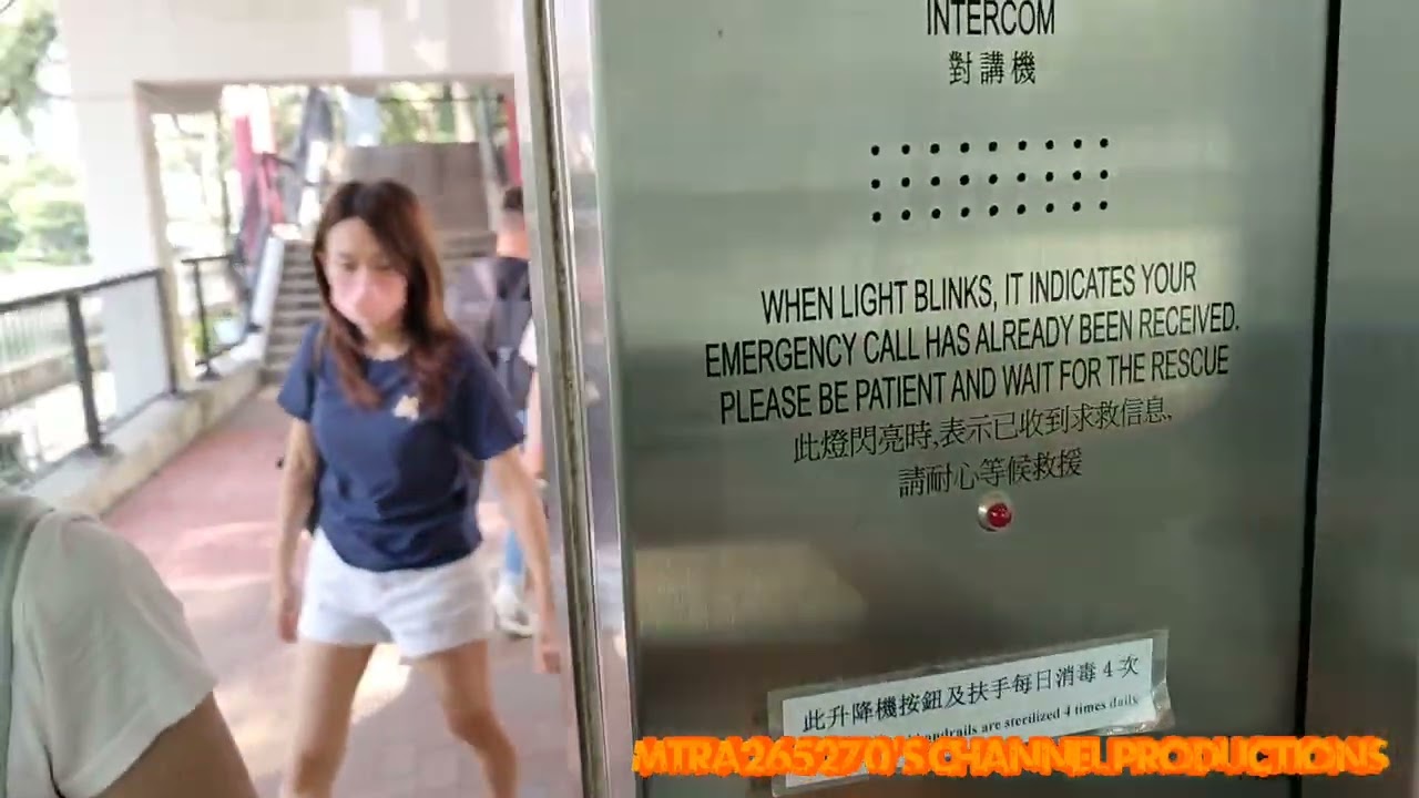 去太和附近視察林村河之退役MLR涼亭