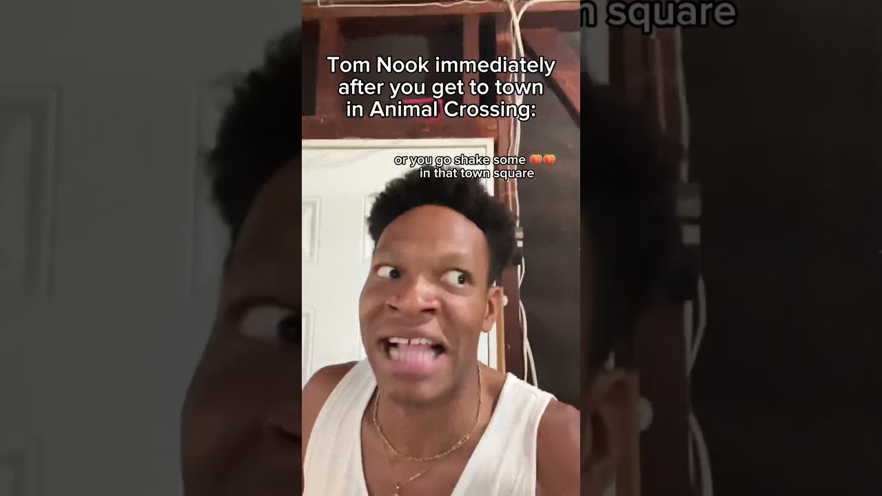 Том Нук сразу после того, как вы попадаете в город в Animal Crossing 