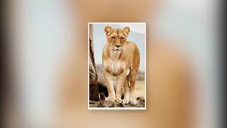 Nice adventure Safari are the  Best for Mikumi - Selous - Ruaha National Park
