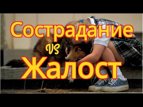 Сострадание vs Жалост - Бхакти Вигьяна Госвами 21.05.2018