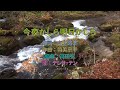 テレサ・テン - 今夜かしら明日かしら KTV カラオケ 中譯